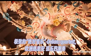 平衡内敛之美，来自于极致的“绝对音乐”— 带你领略Delian::quartett, 欧洲德里安 弦乐四重奏