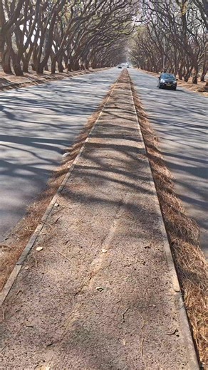 🌿✨ A Road with Memories ✨🌿 Every corner of Zimbabwe has a story to tell, and this road is no different. It’s more than just a path — it carries memories of journeys, laughter, and moments that shape our lives. 🚗💨 Next time you travel here, remember: it’s not just the destination, but the memories along the way that make the journey special. 💚 #DiscoverZimbabwe #TravelWithMemories #HiddenGems #NatureAndStories | Discover Zimbabwe