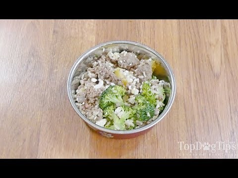 Homemade Dog Food for Pancreatitis Recipe (Simple, 5 Ingredients)