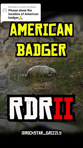 RDR 2 American Badger Location Guide