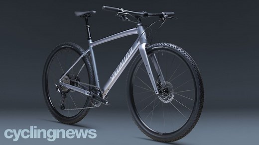 Specialized Diverge EVO: a flat-bar gravel bike