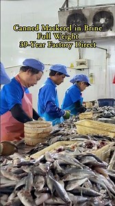 39 Yrs Exporting Canned Mackerel! Lock in Lowest Prices Now!