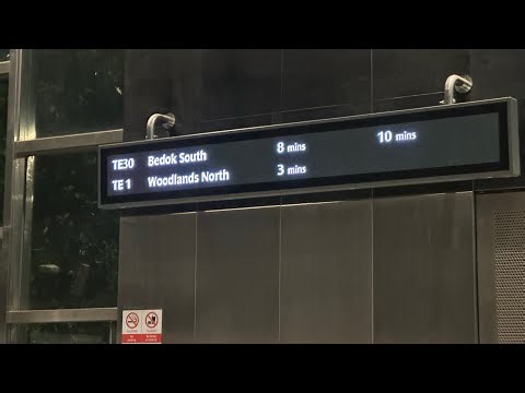 Working @ Orchard during Thomson-East Coast Line Stage 5 Integration Works Late Opening (Part 1)