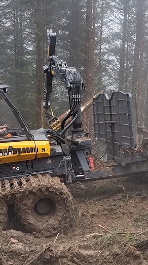 459K views · 2.2K reactions | Love watching a Ponsse Elephant King doing its thing  @therealtimberella #forestry #ponsse #tree #treecare #forwarder #timber #Sitka #logs #machinery #forester #lumberjill #lumber #logging #holz #baum | Forestry Journal | Facebook