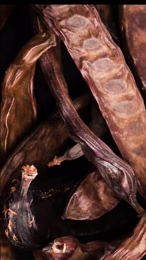 5 Health Benefits of Carob