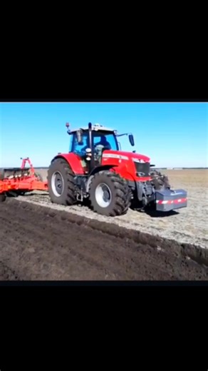 Massey Ferguson tractor deep plowing in the field #masseyferguson #usatractor #farming