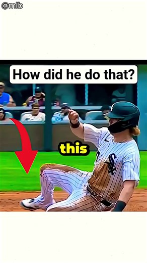 Amazing Slide Compilation You Can't Miss