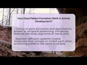 How Does Pattern Formation Work In Animal Development? - Biology For Everyone