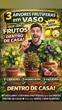 3 Árvores Frutíferas em Vaso que DÃO FRUTO em Casa 🍋🍒 (Perfeito pra Apartamento!)