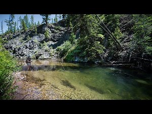 Found a PRISTINE Stream Nobody's Fished || Backcountry Fly Fishing