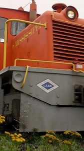 3.5K views · 52 reactions | All aboard for a fall colors tour where Minnesota’s woods and water meet  | Lake Superior & Mississippi Railroad | Watch this story here: https://www.youtube.com/watch?v=CTAG4qXRek4 | Minnesota Bound | Facebook