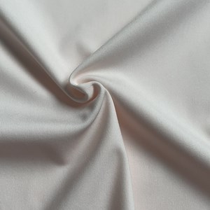 [Hot Item] Wbt23432 79%Nylon 21%Spandex 270GSM Knitted Interlock Fabric for Legging