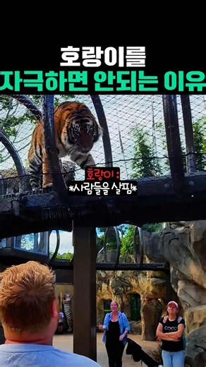 호랑이를 자극하면 안되는 이유