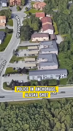 Video Catches Officers in a LIE! #reels #officer #law #lawyer | John H. Bryan, Attorney at Law