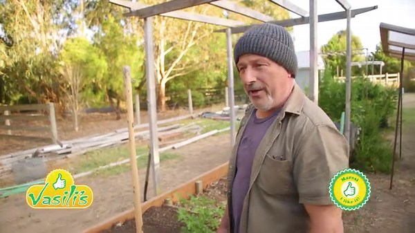 3.9K views · 224 reactions | Tips On Pruning And Staking Tomatoes Find great products for your garden online at: www.vasilisgarden.com Real People, Real Gardens, Real Food! Maresi!  | Vasili's | Facebook