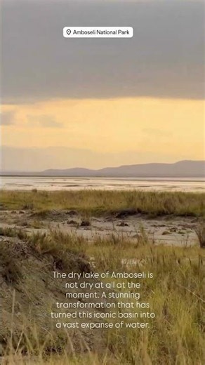 Experience the Magic of Amboseli | Eco-Luxury Safari in Kenya
