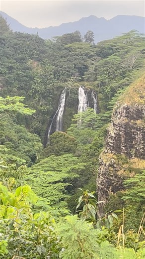 Opaeka’a Falls is located on the Eastern side of the Hawaiian Island of Kauai. It is a 151 foot cascading waterfall and it’s easily accessible by car from its scenic roadside overlook. Its historic significance for “opae” or the rolling shrimp 🦐 was once abundance in the stream. 📍Opaekaa Falls #bestkauaitours #kauai #opaekaafalls #kauaitravel #kauaivacation | Best Kauaʻi Tours