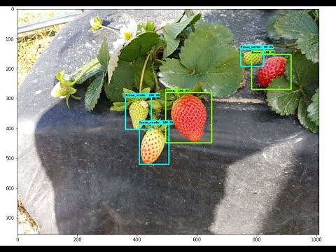 Instalar labelimg WINDOWS|✅|Entorno virtual python|Detección de objetos con tensorflow 2 OD api|2020