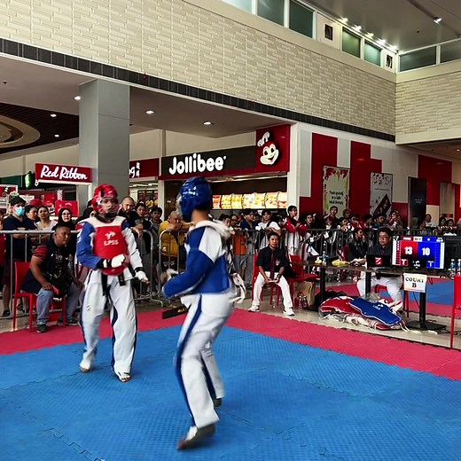 Taekwondo Highlights: Ultimate Compilation of Moves