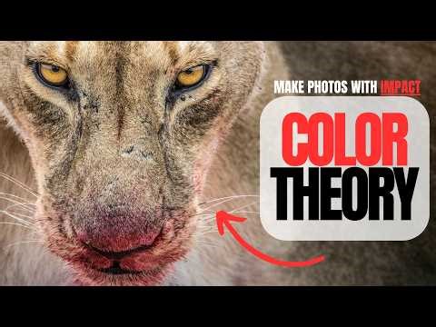 Make Photos With Impact Using Color Theory