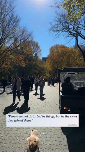 🔍 what actually disturbs you (it's not what you think)