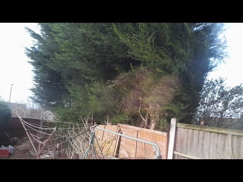 New VERY Strong Wind ASMR