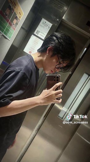 Understanding Fat in Pets: Dogs and Cats Explained