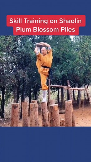 Training on Plum Blossom Piles. #culture #martialarts #kungfu #monk #foryou #ShowOffLandOFrost