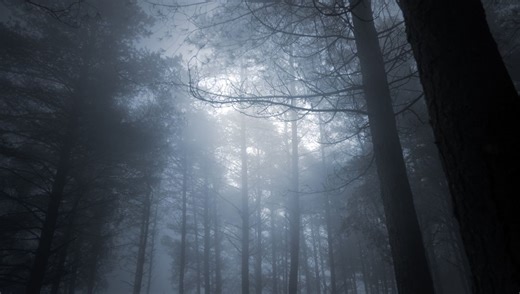 The Unsettling Explanation Of The Dark Forest Hypothesis: Why Aliens Haven't Made Contact