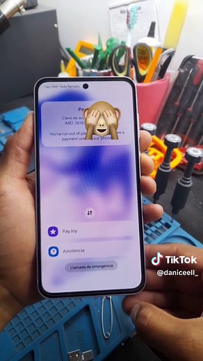 DaniCeell on TikTok