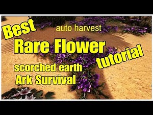 Best Rare Flower Auto Harvest Guide Scorched Earth ARK SURVIVAL
