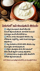 What Happens When You Eat Curd with These Ingredients Daily? | Amazing Health Benefits