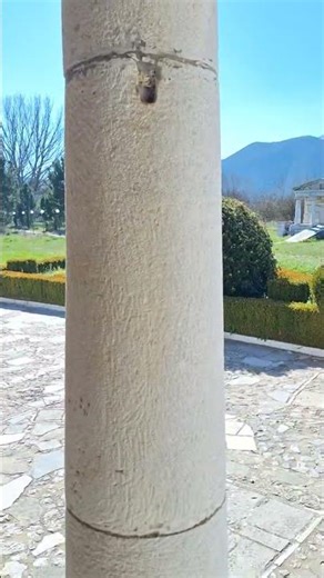 ΑΓΙΑ ΦΩΤΕΙΝΗ - ΜΑΝΤΙΝΕΙΑ ΑΡΚΑΔΙΑΣ