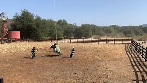 589K views · 2.6K shares | Who loves a story that ends well? Lola an...