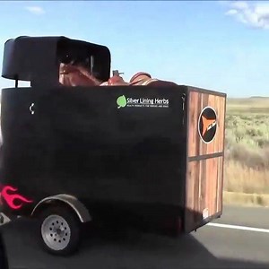 7.3M views · 73K reactions | What did I just watch @casey_perkins_rope247? #extreme4x4nation | Extreme 4x4 Nation | Facebook