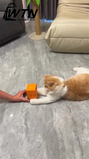 𝐅𝐥𝐚𝐩𝐩𝐢𝐧𝐠 𝐁𝐢𝐫𝐝 𝐂𝐚𝐭 𝐓𝐨𝐲 – 𝐑𝐞𝐚𝐥 𝐒𝐨𝐮𝐧𝐝𝐬, 𝐑𝐞𝐚𝐥 𝐅𝐮𝐧! Turn your cat into a little hunter with the Flapping & Chirping Bird Toy – it flaps, chirps, and makes playtime feel so real. Why Pet Parents Love It: ✔️ 𝐒𝐨𝐮𝐧𝐝𝐬 𝐥𝐢𝐤𝐞 𝐚 𝐫𝐞𝐚𝐥 𝐛𝐢𝐫𝐝 – triggers natural hunting instincts ✔️ 𝐅𝐥𝐚𝐩𝐬 𝐢𝐭𝐬 𝐰𝐢𝐧𝐠𝐬 𝐰𝐡𝐞𝐧 𝐭𝐨𝐮𝐜𝐡𝐞𝐝 – keeps cats moving ✔️ 𝐒𝐚𝐟𝐞, 𝐬𝐭𝐫𝐨𝐧𝐠, 𝐚𝐧𝐝 𝐔𝐒𝐁 𝐫𝐞𝐜𝐡𝐚𝐫𝐠𝐞𝐚𝐛𝐥𝐞 – no batteries needed! Let your kitty chas