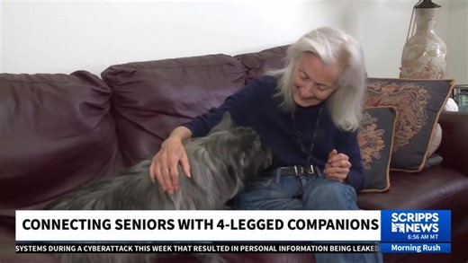 Seniors Find Joy with Pets in Assisted Living