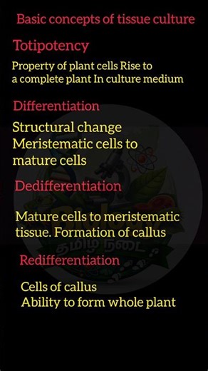 Explain the basic concepts of plant tissue culture | ‪@duraisir‬ | class 12