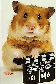 Watch Once Upon a Hamster Season 1 Episode 10 - Bubbles