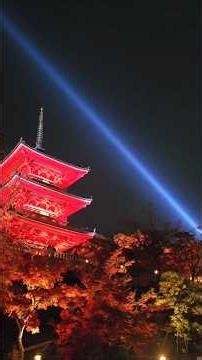 京都清水寺紅葉ライトアップ🍁#京都 #紅葉 #お寺 #清水寺