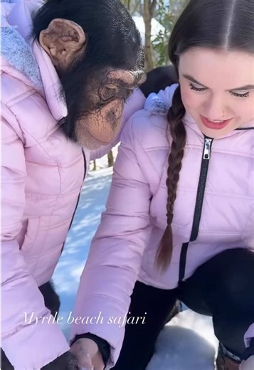 Tara's Magical First Snow Day With Chimps