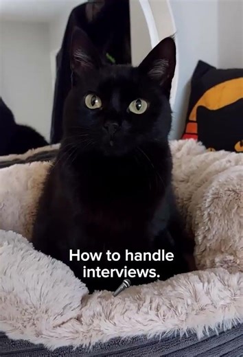 Growth is like the Pythagorean theorem—every step you take builds the path forward.” #dailygrowth