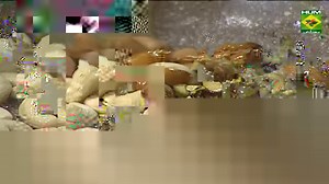 A rich & creamy suji ka halwa made with sooji, condensed milk, ghee, dryfruits, cardamom and saffron. #QuickRecipe #MasalaTV #CondensedMilkSujiHalwa | Masala TV