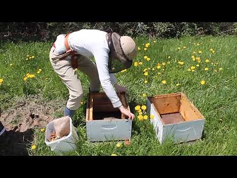 A beginner's guide to walk-away splits