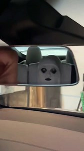 Scary mask prank 🤣🤣🤣 #funny #funnyprank #scareprank #scaring #jumpscare #funnyvideos #trynottolaugh #lol #fyp | FunniesLaughs