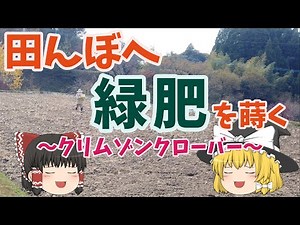 2023年の田んぼに向けて緑肥を蒔く（雪印種苗 くれない｜クリムソンクローバ） ☆しっかり農業☆