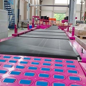 [Hot Item] Truelisort Book Sorting Customizable Loop Belt Sorting System