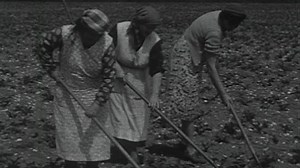 Watch A Year on a Mechanised Farm in Norfolk - BFI Player