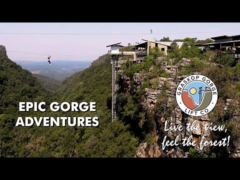 Discover Graskop Gorge Lift | Forest Walks, Big Swing, Zip-Lines, Cliff Walks & Family-Friendly Fun