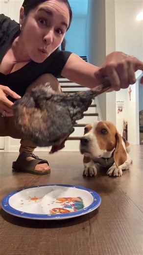 Doña Wow, su Beagle y los Tacos en el Videíto